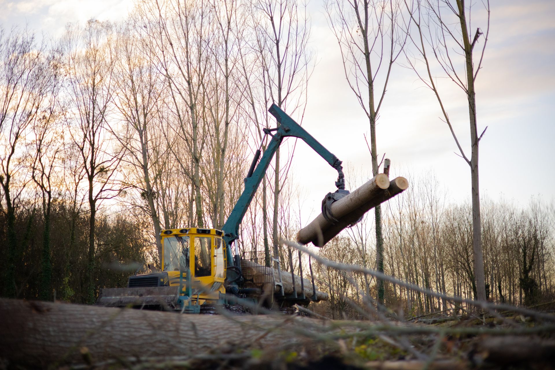 ©CTPhotos ©CTPhotos