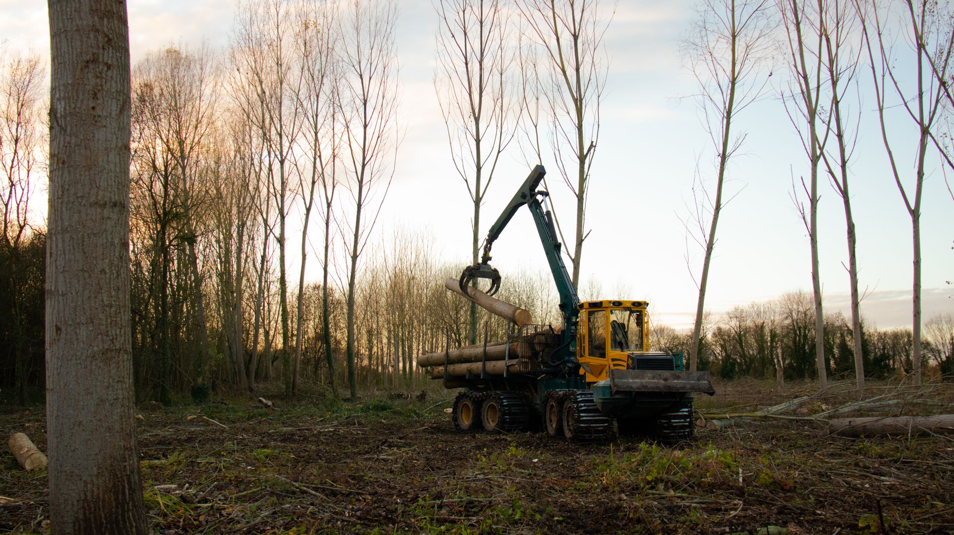 ©CTPhotos ©CTPhotos