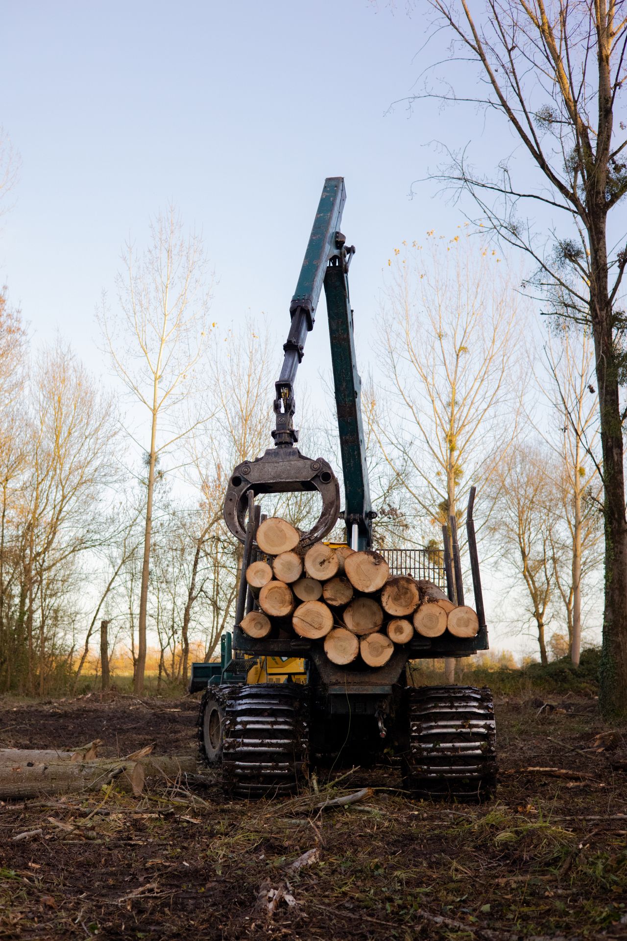 ©CTPhotos ©CTPhotos