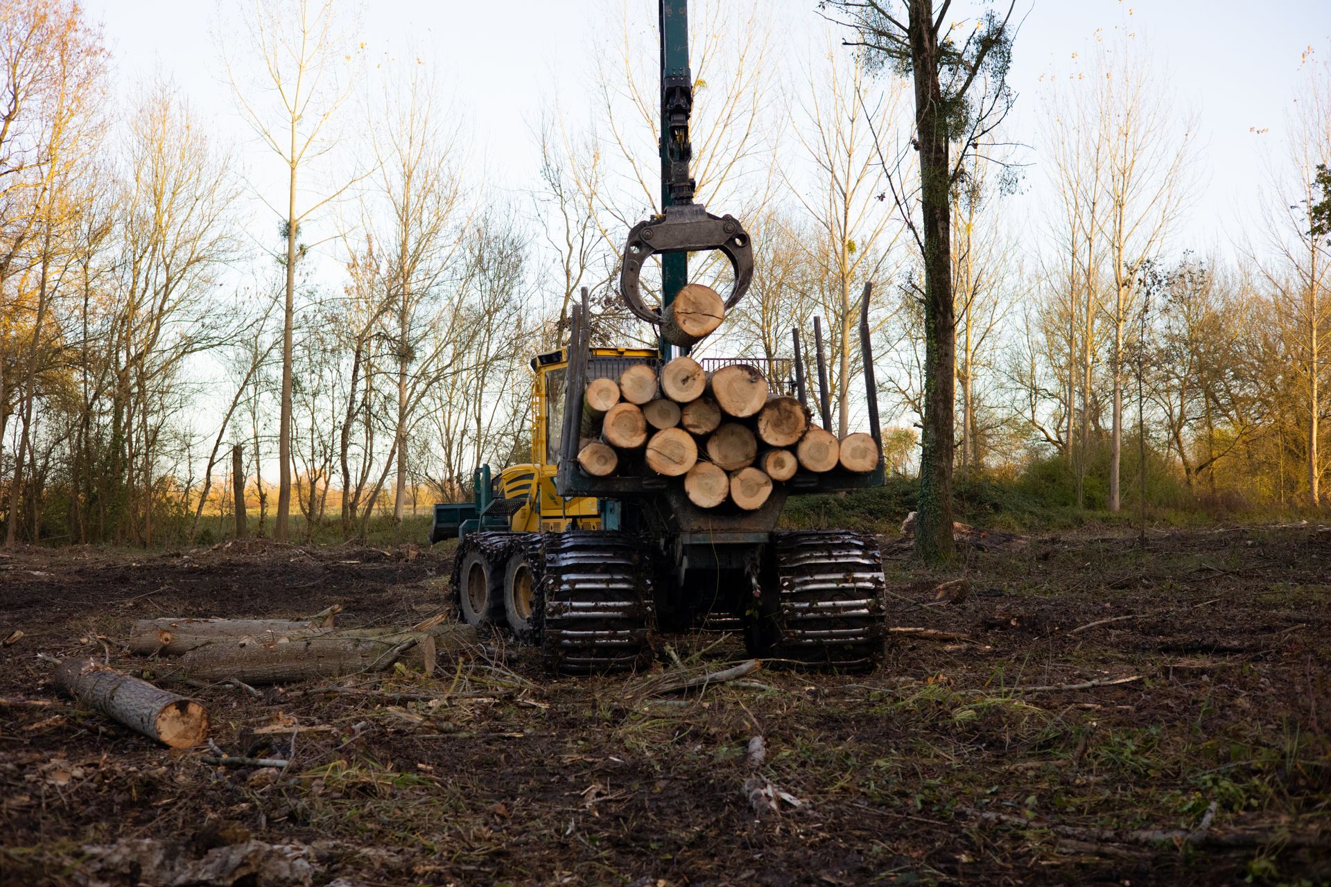 ©CTPhotos ©CTPhotos