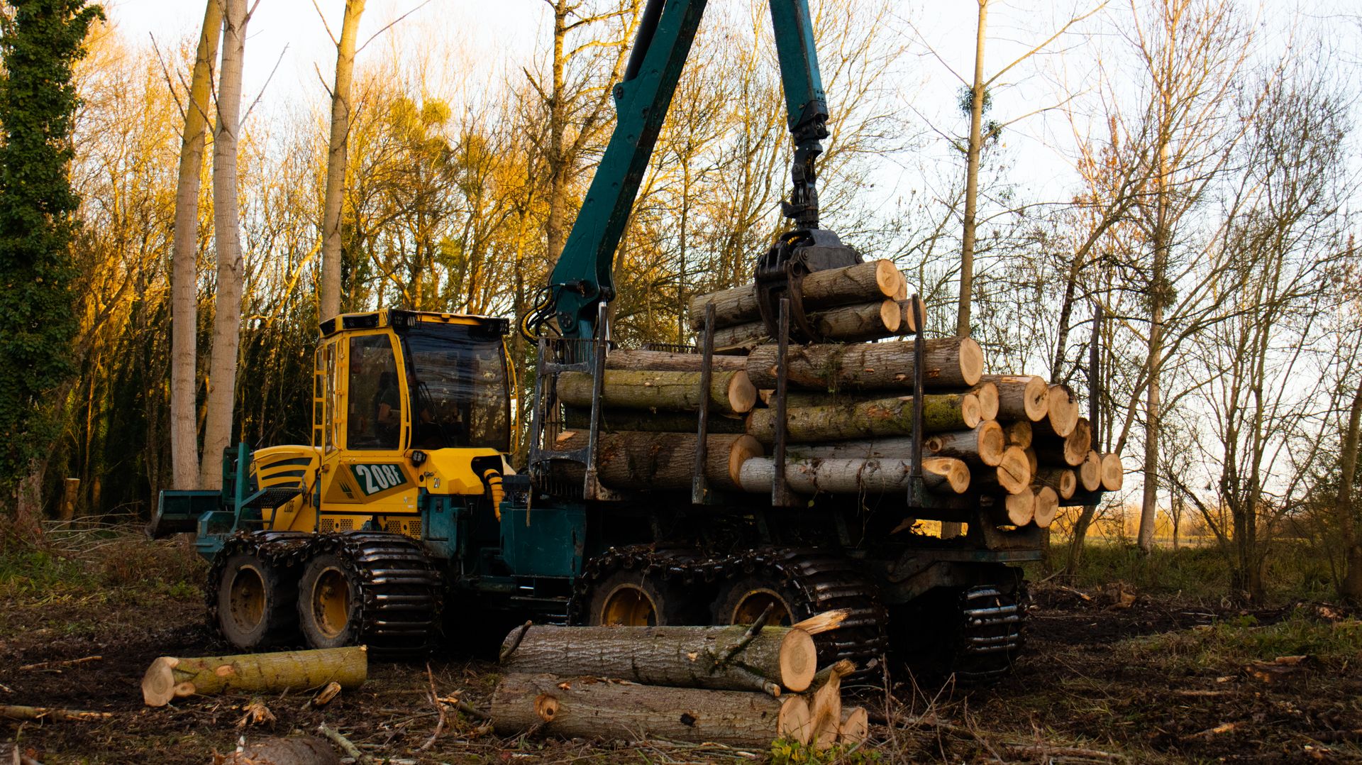 ©CTPhotos ©CTPhotos