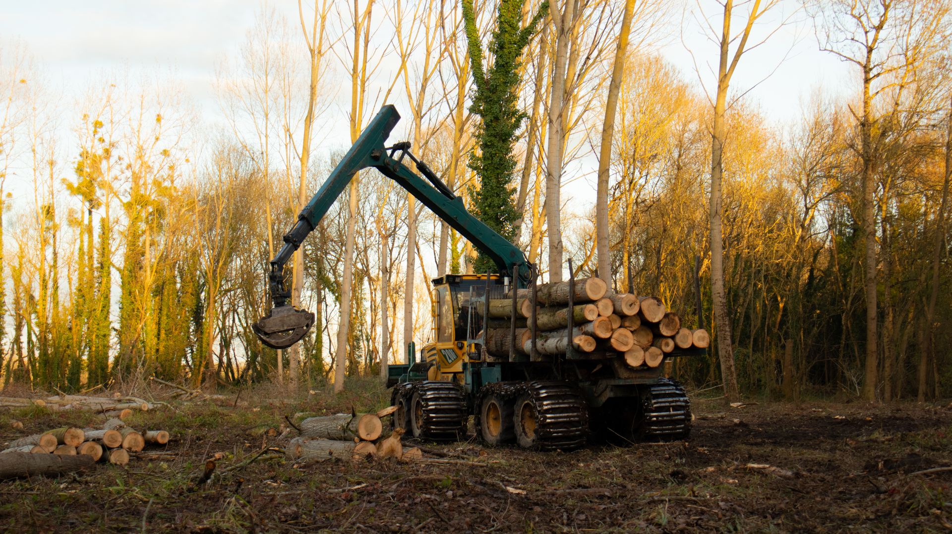 ©CTPhotos ©CTPhotos