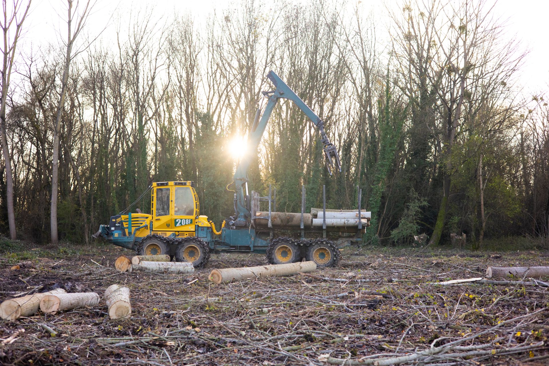 ©CTPhotos ©CTPhotos