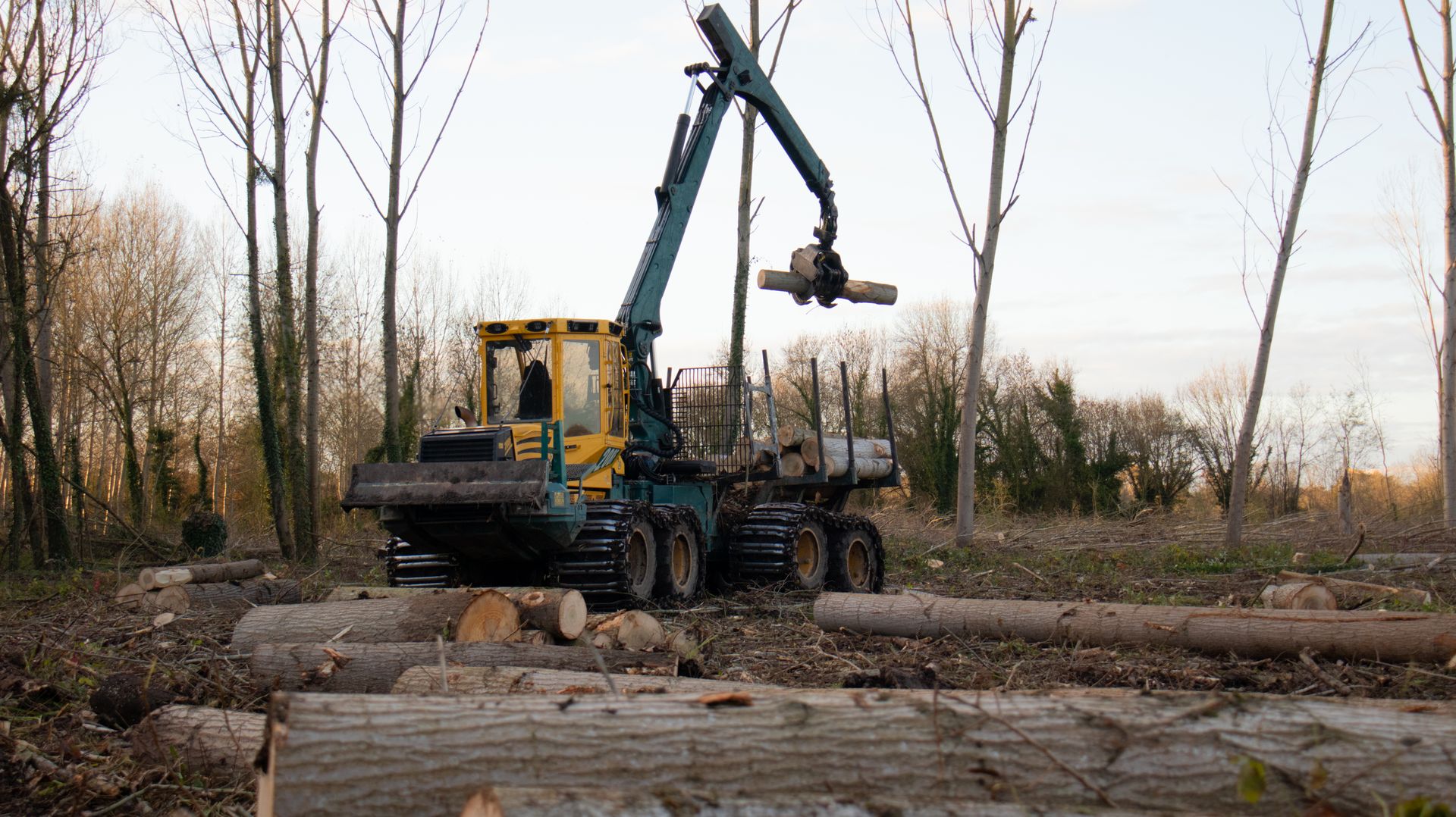 ©CTPhotos ©CTPhotos