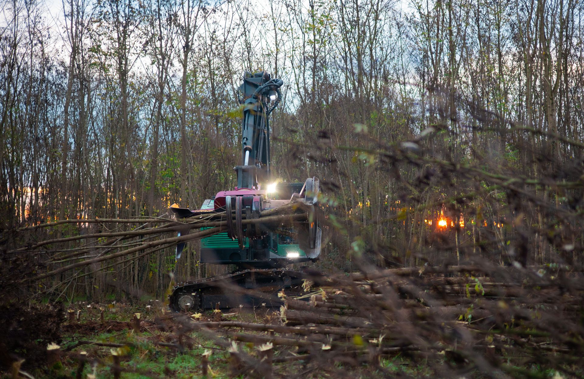 ©CTPhotos ©CTPhotos