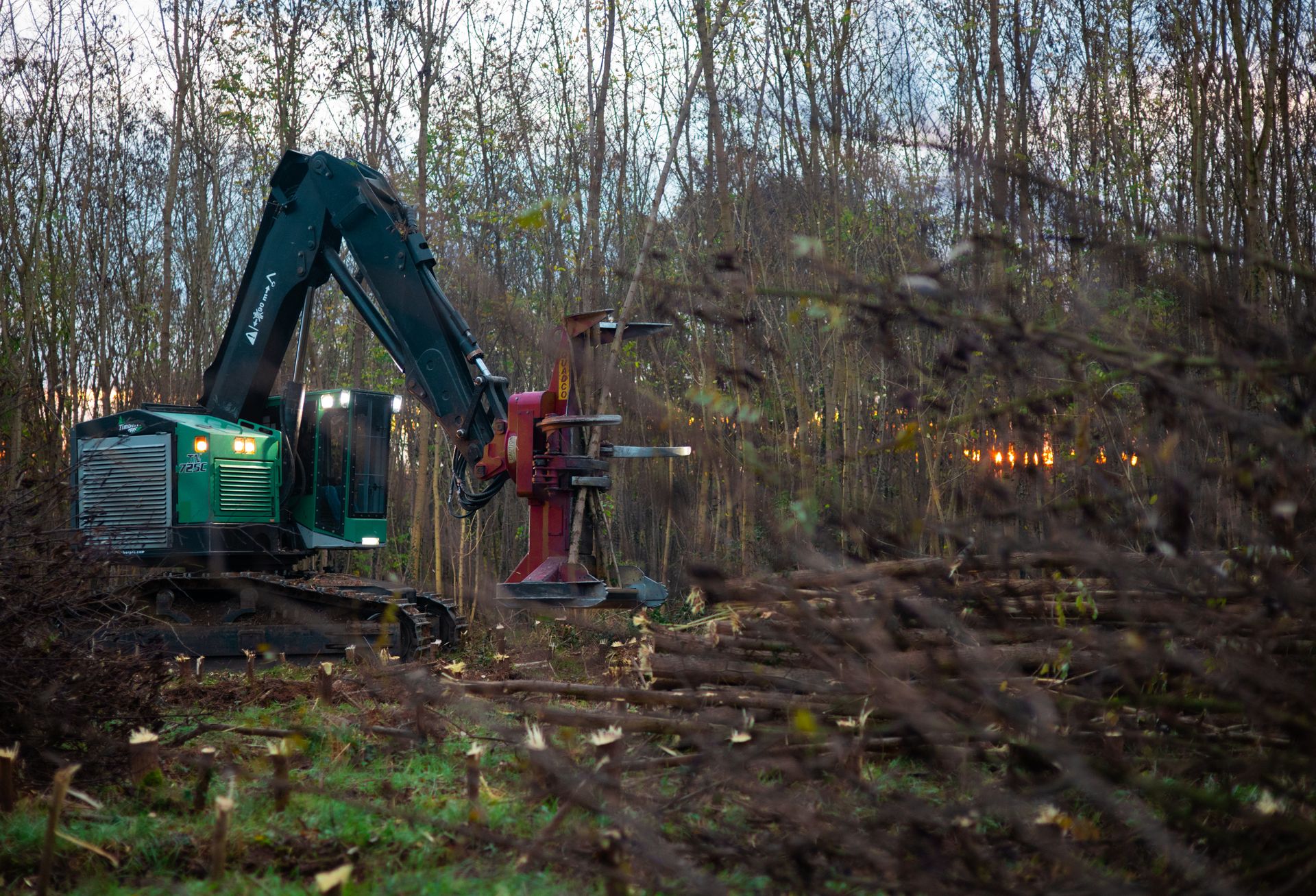 ©CTPhotos ©CTPhotos