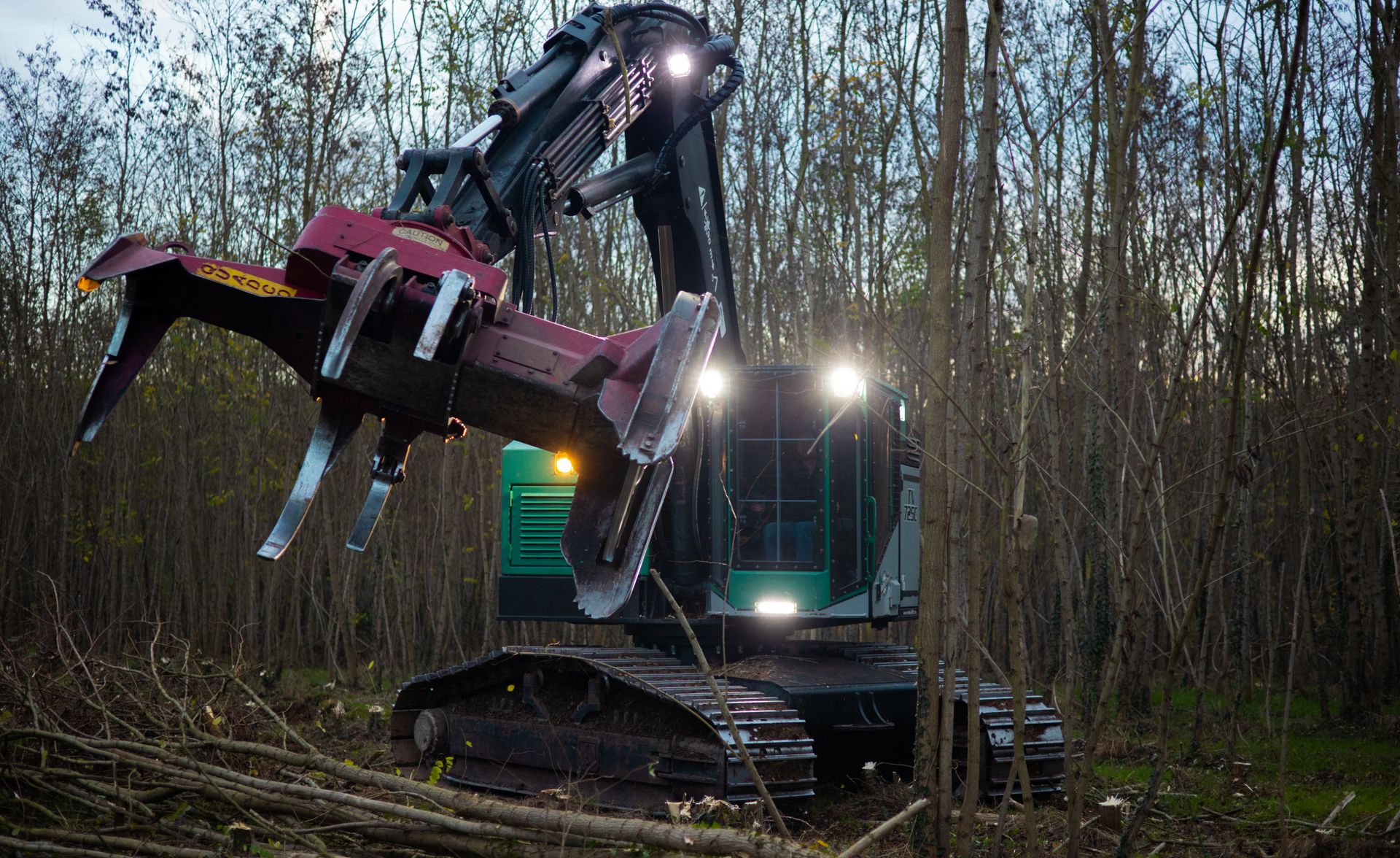 ©CTPhotos ©CTPhotos