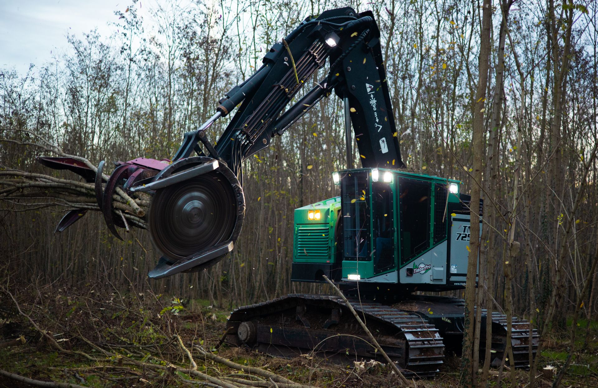 ©CTPhotos ©CTPhotos