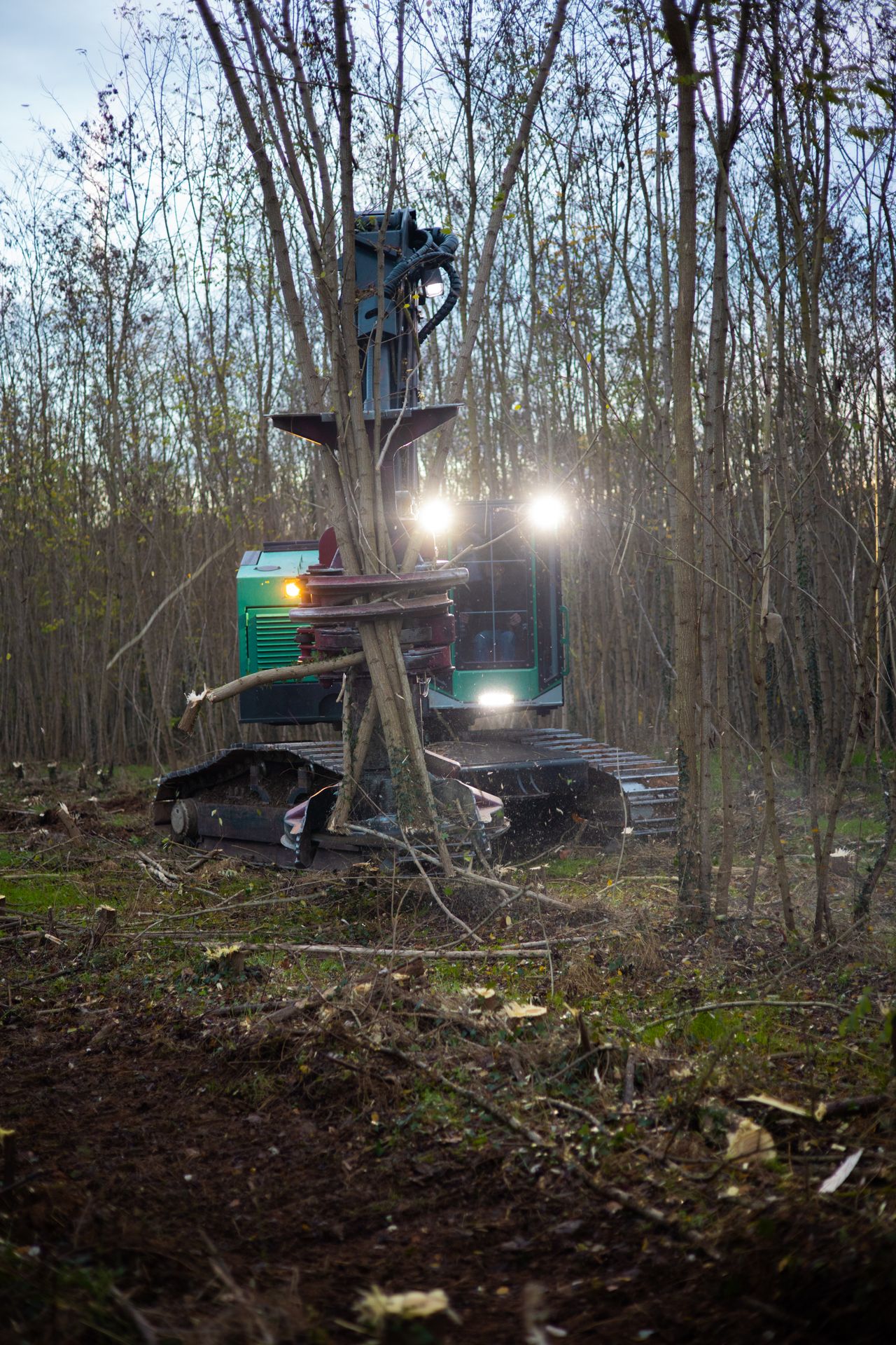 ©CTPhotos ©CTPhotos