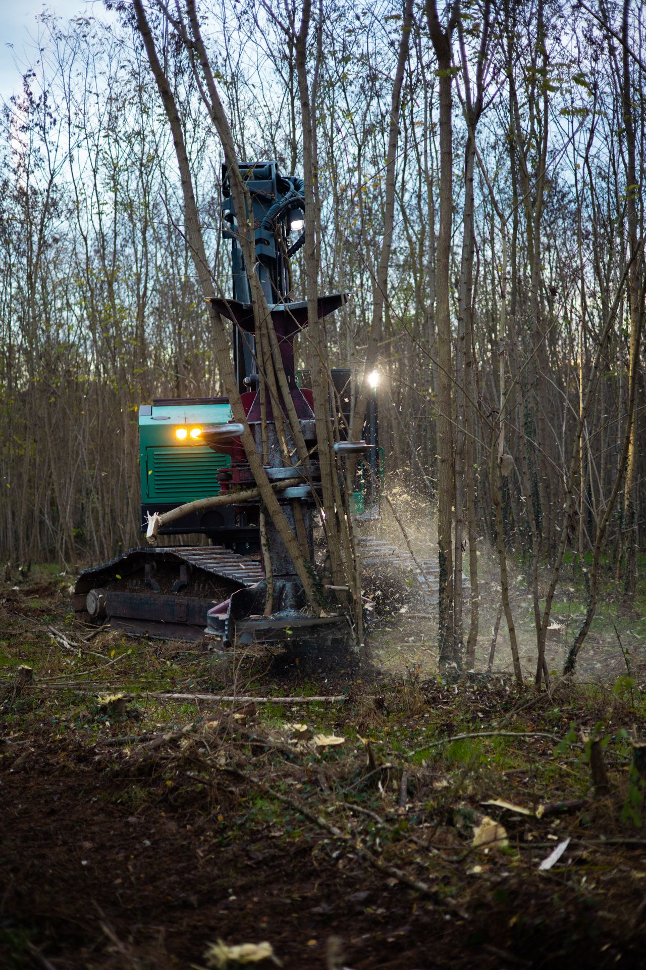 ©CTPhotos ©CTPhotos