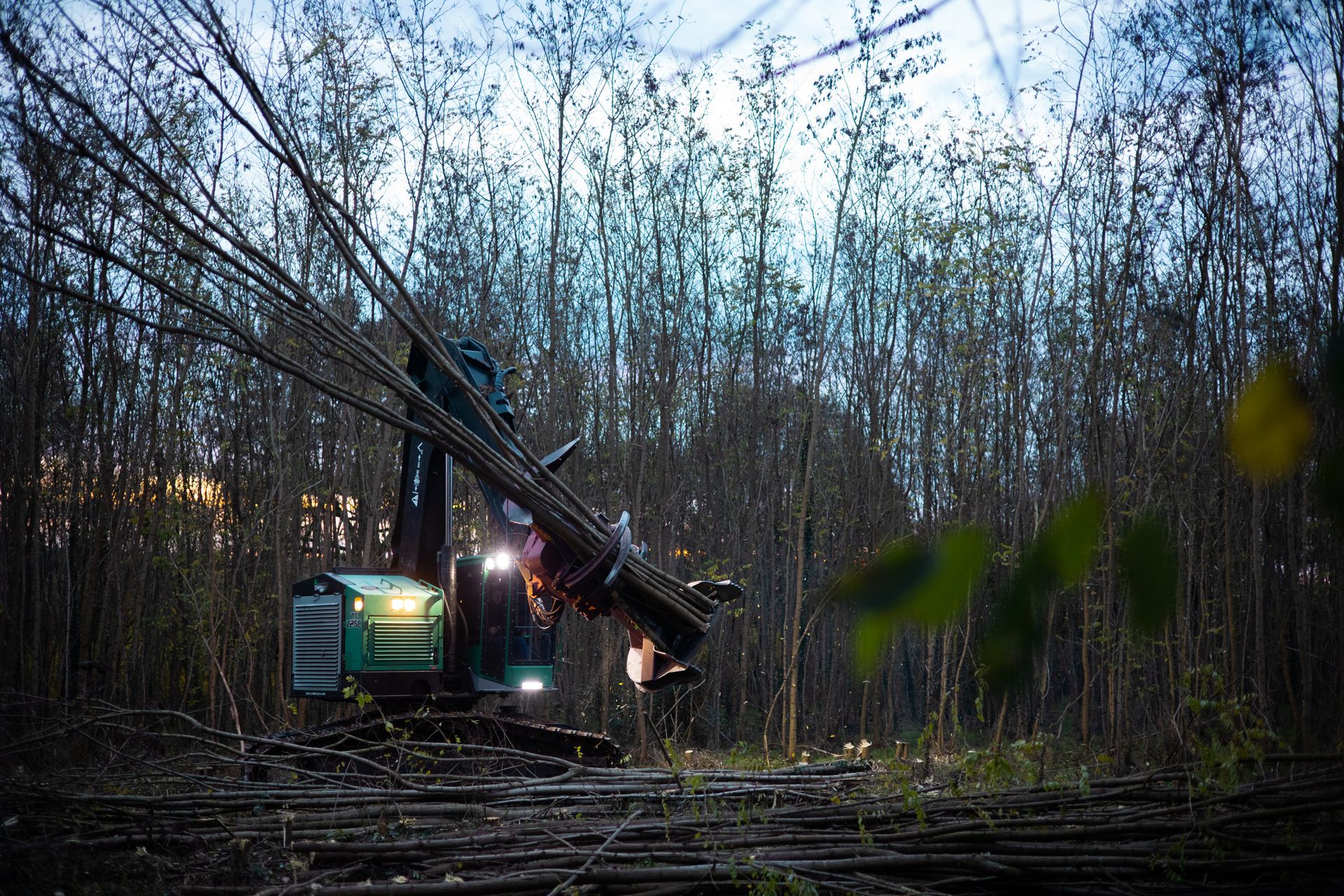 ©CTPhotos ©CTPhotos