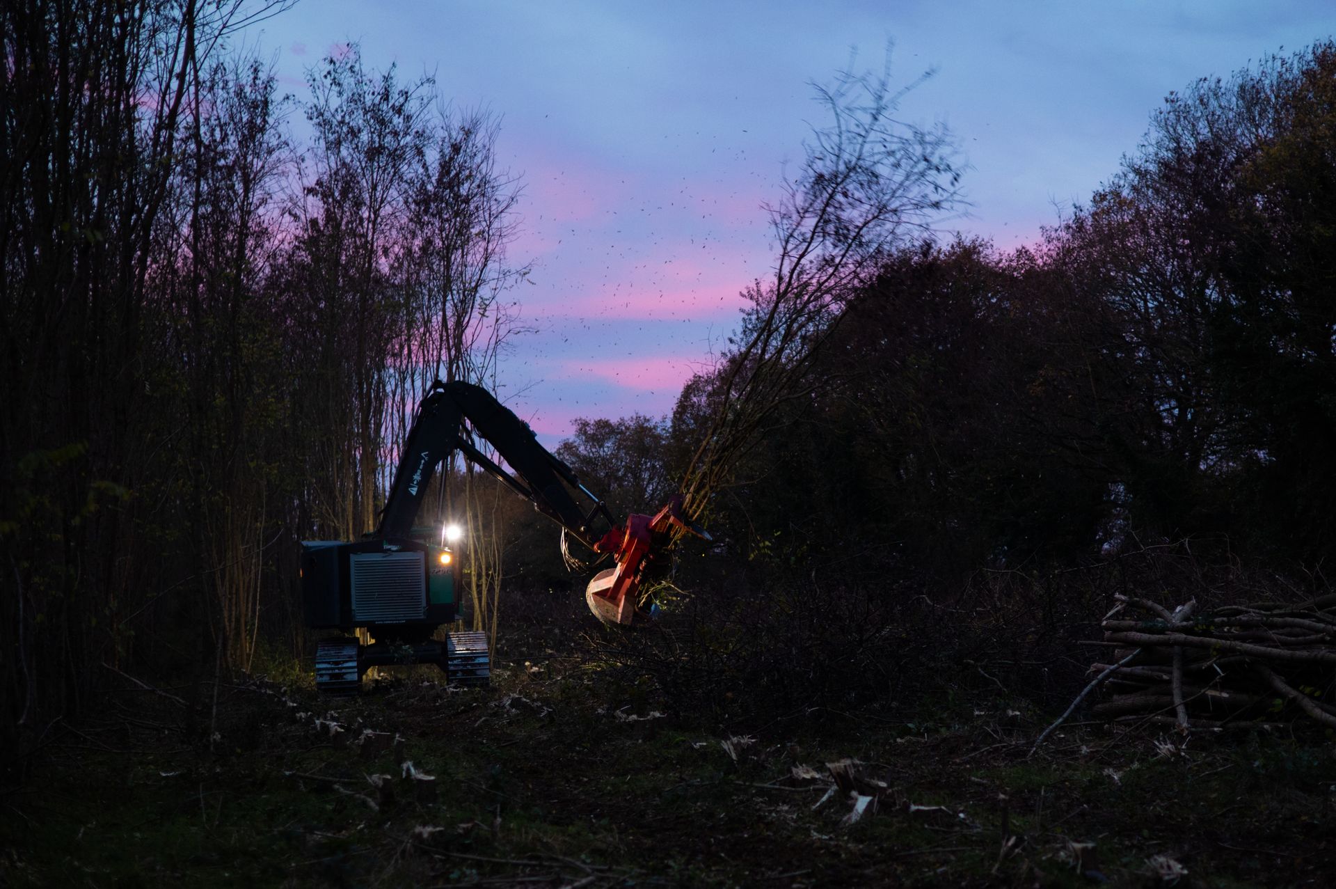 ©CTPhotos ©CTPhotos