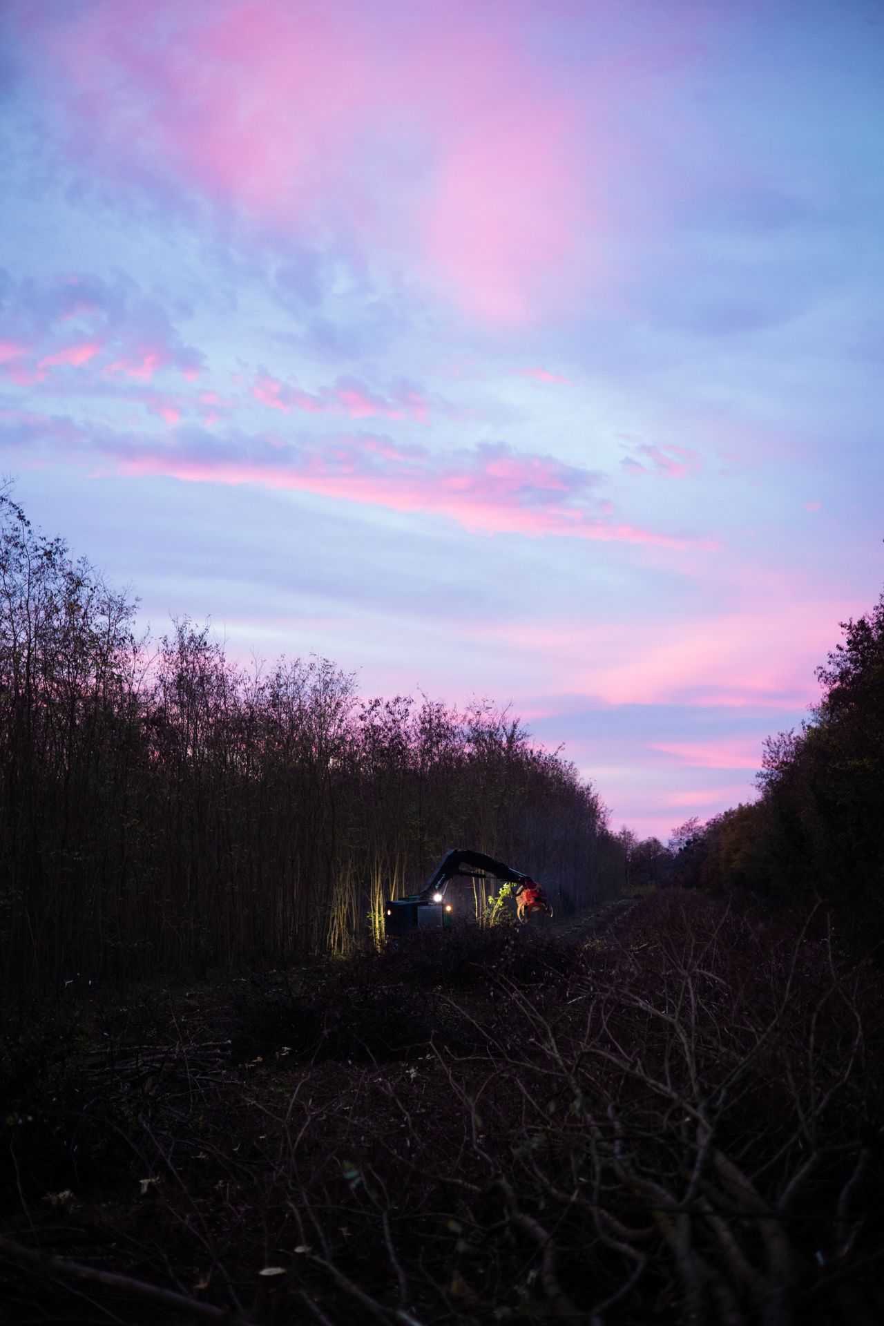 ©CTPhotos ©CTPhotos